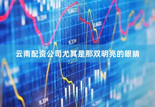 云南配資公司尤其是那雙明亮的眼睛